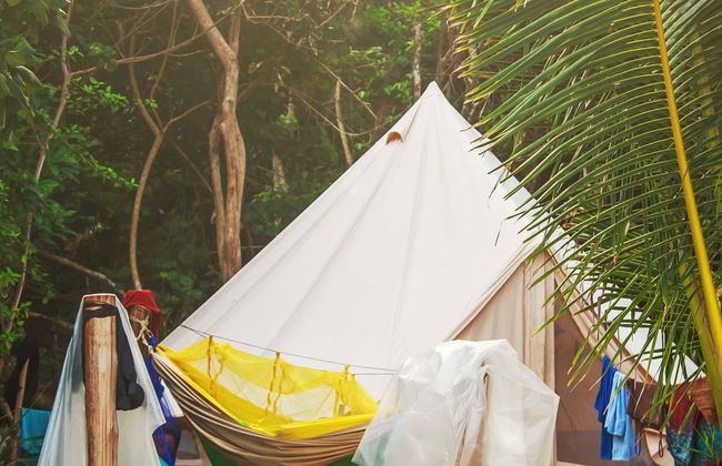 Trilha e noite na floresta amazônica - Foto 1