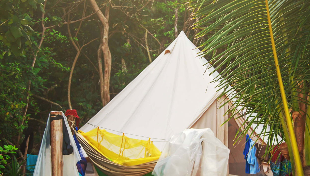 Randonnée et nuit dans la forêt amazonienne