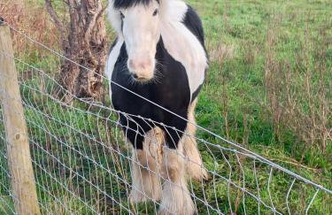Countryside 2 Bed Bungalow with Stunning Views Free WiFi and Parking Ideal for Business and Leisure - Photo 5