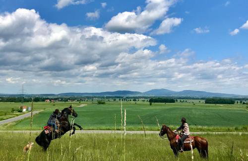 Drewniany dom w brzozowisku - Foto 79