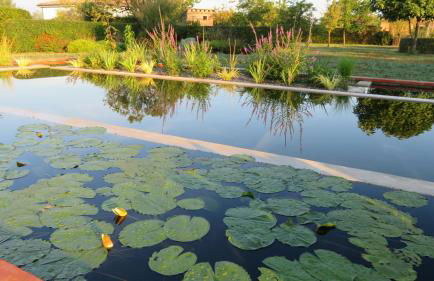 Gîte du Pradel - Foto 19