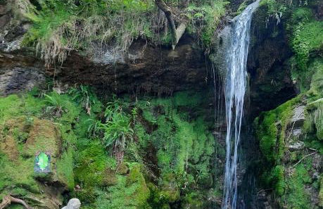 La Huerta, megustarural - Foto 17