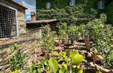 Villa Elena Tuscany - Pool & Garden Arezzo - IHH - Foto 24