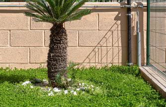 Ruggieri Apartments Roma - A 5 minuti dalla Metro A Anagnina - Foto 33