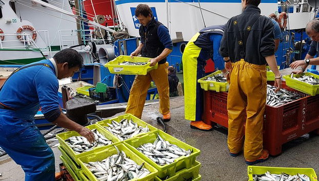 Transfert privé de Bilbao à Saint-Sébastien en passant par la côte basque - Photo 5, Port de pêche basque