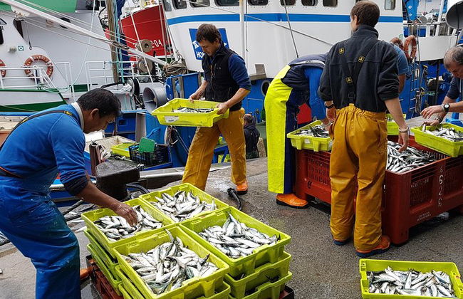 Traslado privado de Bilbao a San Sebastián por la costa vasca - Foto 5