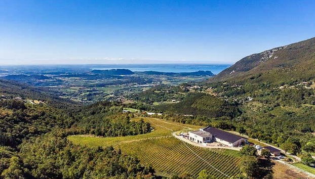 Spiazzi Winery Wine Tasting - Photo 3