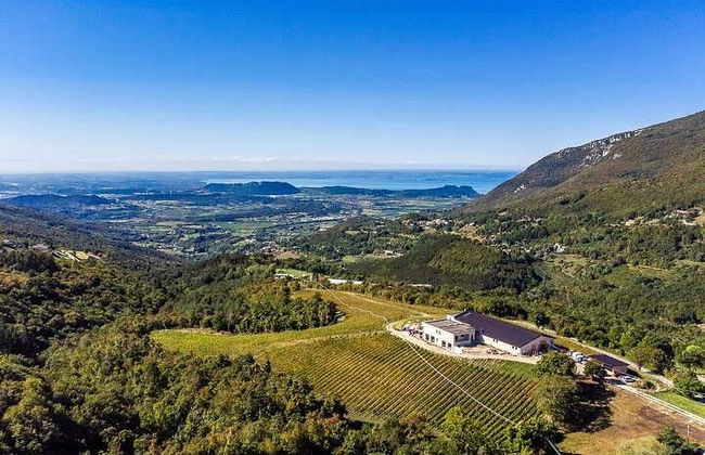 Degustazione di vino in una cantina di Spiazzi - Foto 3