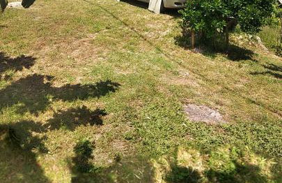 Seaside holiday house Mali Iz (Iz) - 17536 - Foto 12