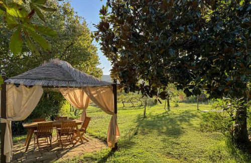 CLAUDIA VACANZA TOSCANA - Appartamento Nocciolo- 10 min da Siena - Foto 27