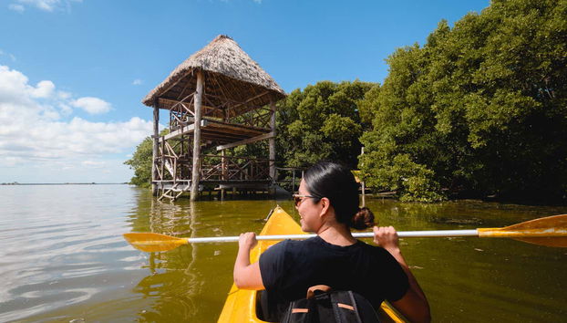 Disfrutando de un tour en kayak