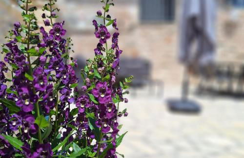 DJoumas Villa - Photo 6