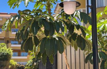 Hermitage Homes RPLA - Foto 58