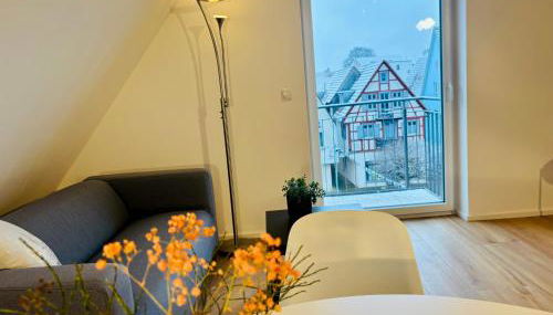 Marktplatz 14 Penthouse Apartments Bad Buchau - Foto 3