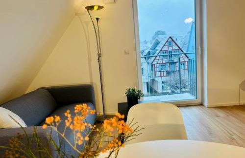 Marktplatz 14 Penthouse Apartments Bad Buchau - Foto 3