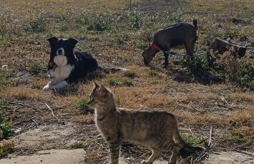 Casas Natura Suites - Finca Rural - Foto 49