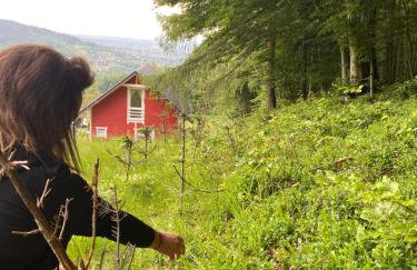 Forest house - Foto 43