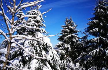 Ferienwohnung Am Apelsberg - Foto 23