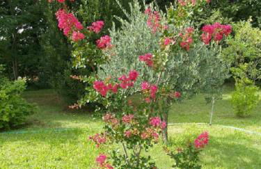 Le Rieufroid - Foto 47