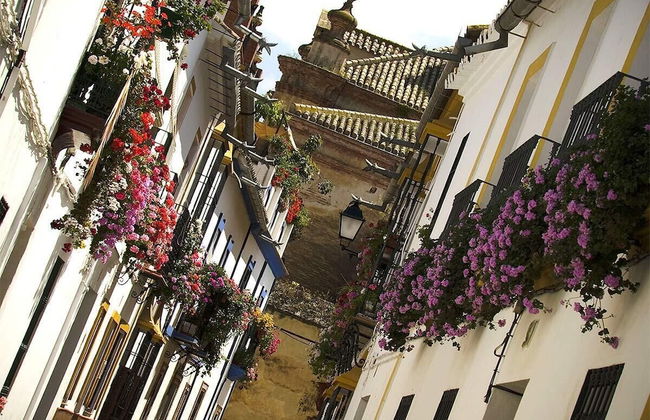 Casa Rural El Pocito - Foto 17