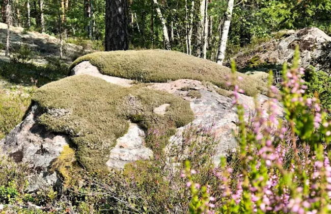 3 Person Holiday Home in Eskilstuna-by Traum - Foto 17