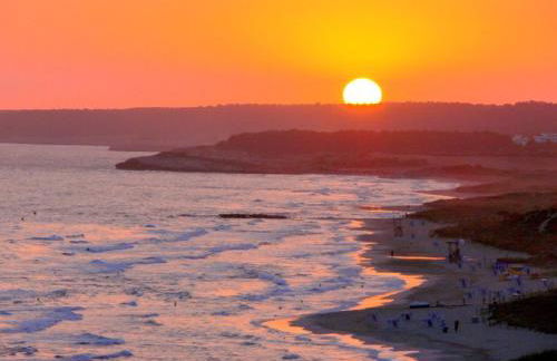 CA NA ROSA Son Bou - Foto 8