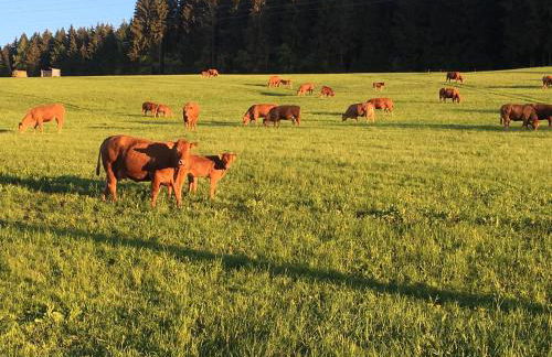 Ferienwohnung Kuhberg - Foto 8