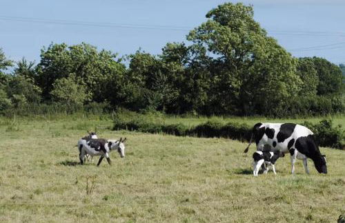 Apple Lodge - Somerset Holiday Homes - Foto 21