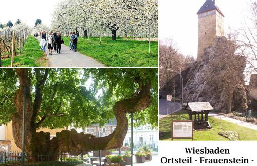 Ferienwohnung Burgblick - Foto 39