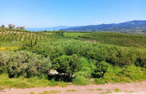 Villa Elaia - Foto 42