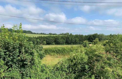 South Downs Country Cottage - Foto 73