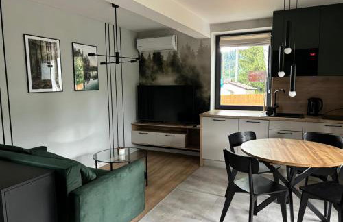 Dach Pod Sową Apartament GS - Foto 7