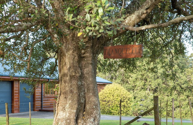 Tranquility at Cascade - Foto 32