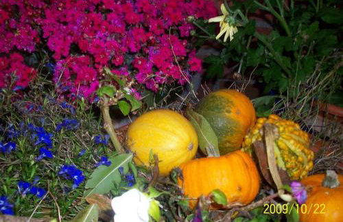 Landhaus op de Warft - Foto 45