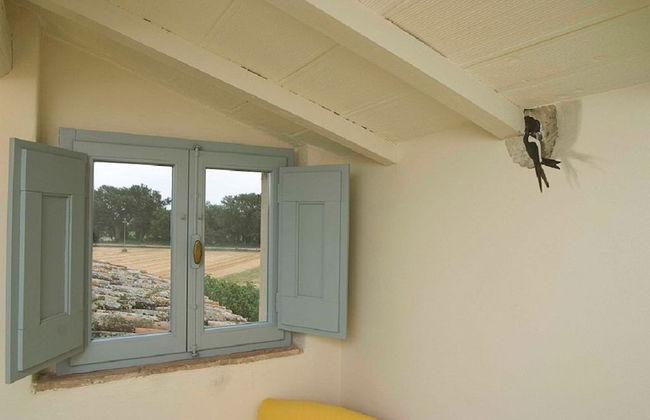 Agriturismo Pian del Tevere - Foto 19