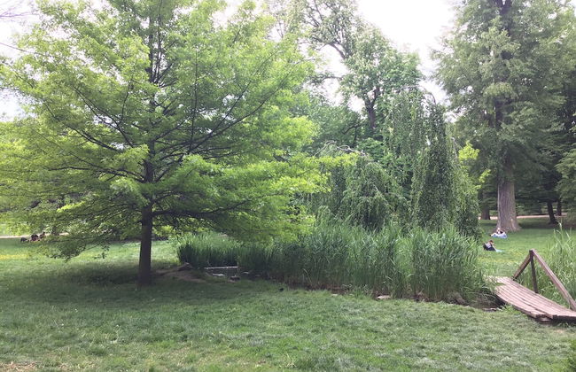 Euro Apartments Lidická 39 Brno - Foto 49