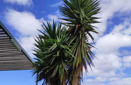 Casas do Forneiro A Casa - Para 2 Pessoas - Photo 54