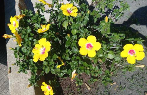 Chalet con piscina, barbacoa y jacuzzi en Valencia - Photo 23