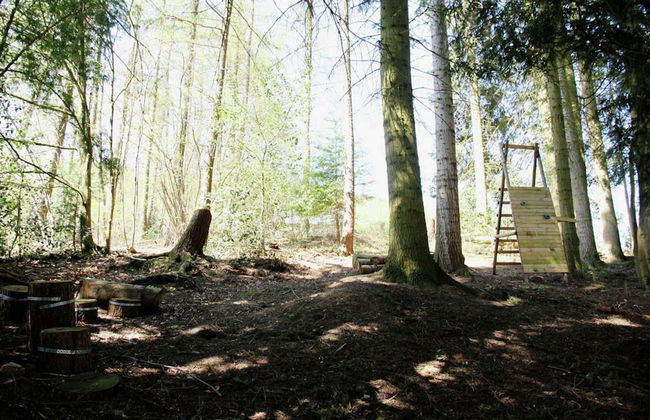 Spacious Pet-friendly Castle in Stavelot - Photo 31