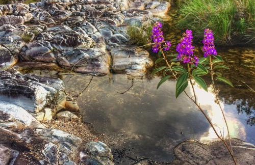 Recanto Vita et Pax - Hospedagem e Passeio Náutico - Foto 98