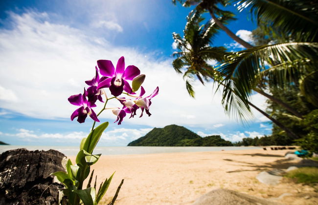 Villa Manipura - Foto 26