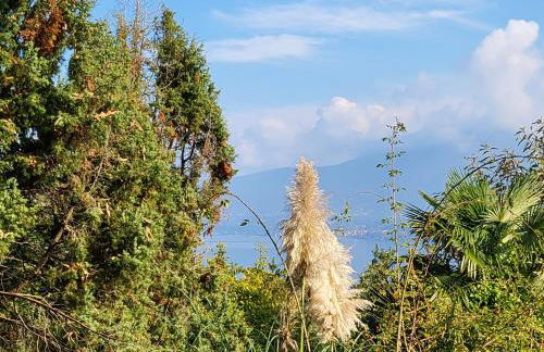 Bella Vista Lago Maggiore Einzigartiger Blick 365 Tagen - Foto 64