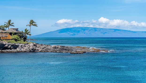 Napili Point A23 - Foto 3, Habitación