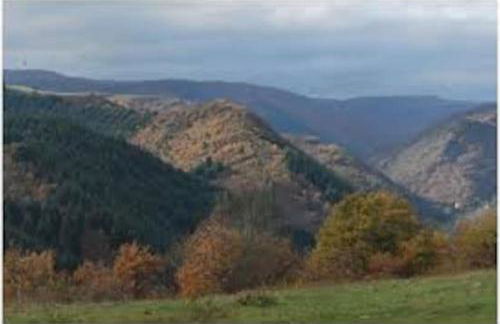 Champeix, maison confort 6 personnes - Photo 15