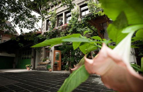 Gästehaus Guntersblum - Foto 24