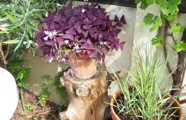 Jolie maison en bois climatisée Proche Lac&Océan - Foto 19