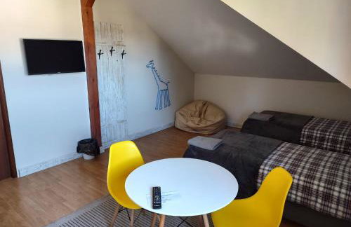 Apartamenty Zielona Góra - Foto 20