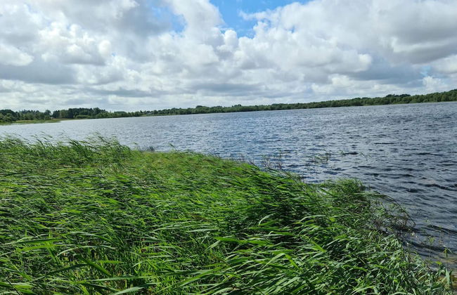 Rustic Holiday Home in Ansager near Water - Foto 35