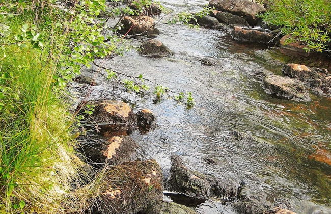 6 Person Holiday Home in Hennes - Foto 7