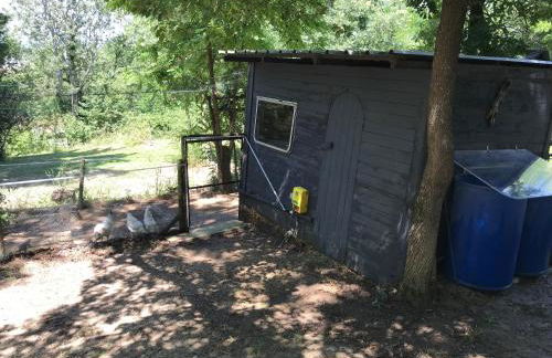 Bus atypique au bord du canal du midi et au cœur d'une forêt 2 chambres - Foto 46